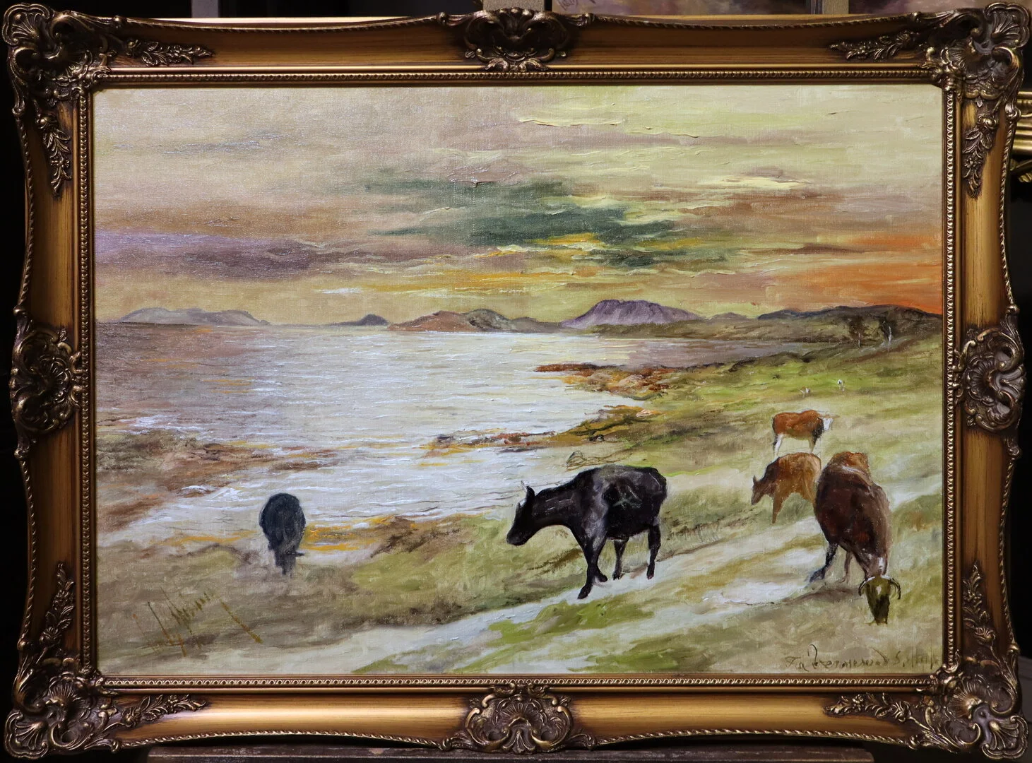 Kuer på Vennesund